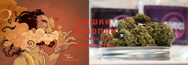 PSILOCYBIN Яровое