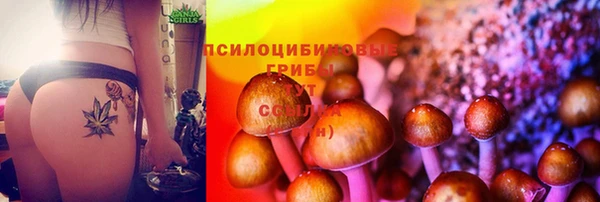 spice Заводоуковск
