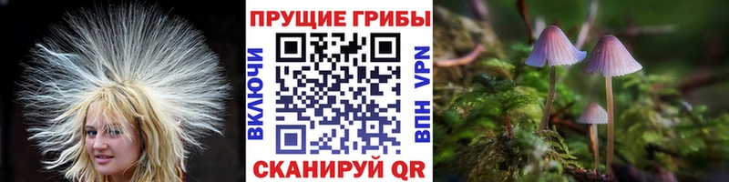 Галлюциногенные грибы прущие грибы  MEGA ссылка  Трубчевск 